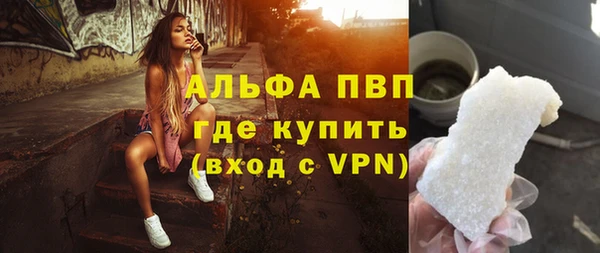 шишки Арсеньев