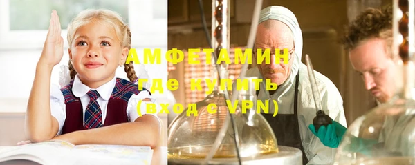 шишки Арсеньев