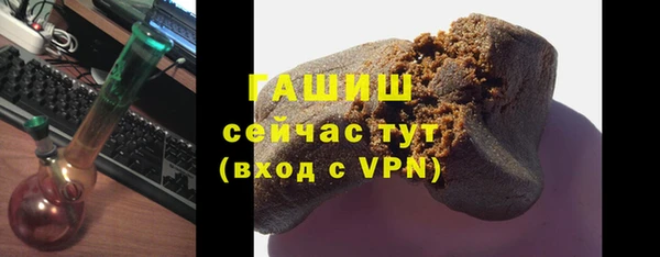 шишки Арсеньев