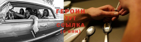 шишки Арсеньев