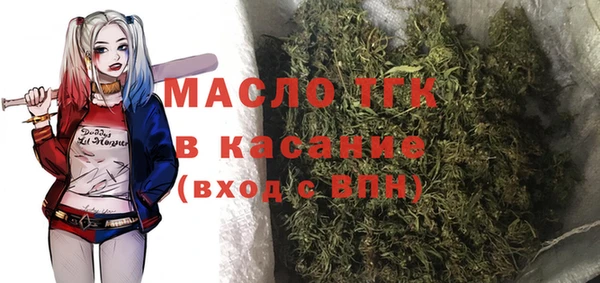 шишки Арсеньев