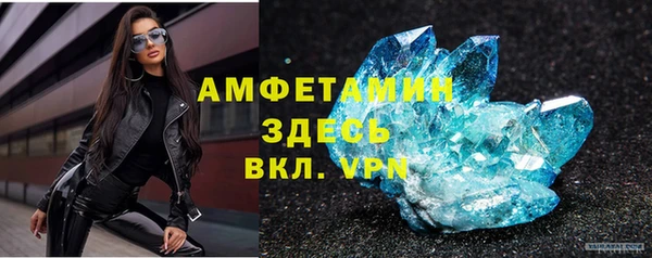 шишки Арсеньев