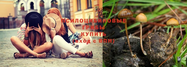 таблы Аркадак
