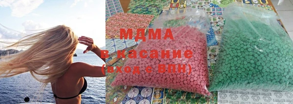 шишки Арсеньев