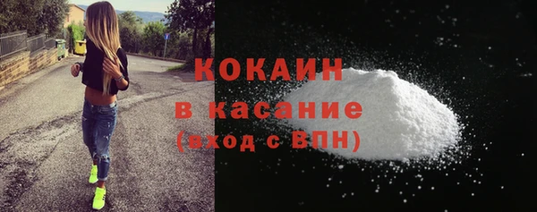 шишки Арсеньев